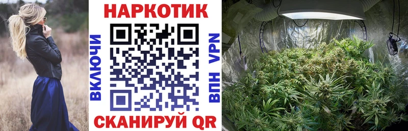 Где можно купить наркотики Шуя Alpha-PVP  Амфетамин  ГАШ  Марихуана  Кокаин  Мефедрон 