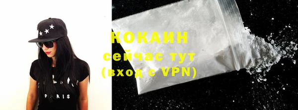 прущие грибы Майский