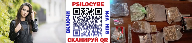 darknet официальный сайт  Шуя  Галлюциногенные грибы MAGIC MUSHROOMS 
